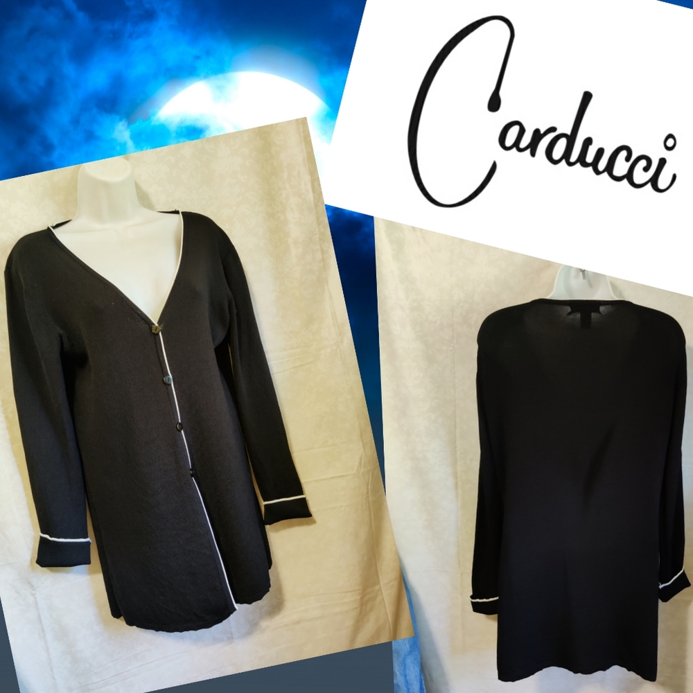 🗺️ Carducci Fall Sweater Cardigan V-neck EXC Cond